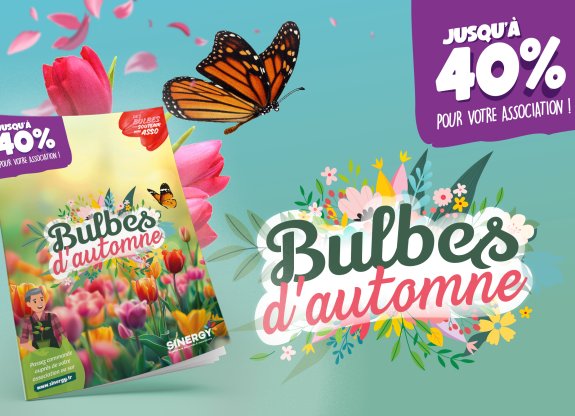 vente de bulbes associations écoles sinergy