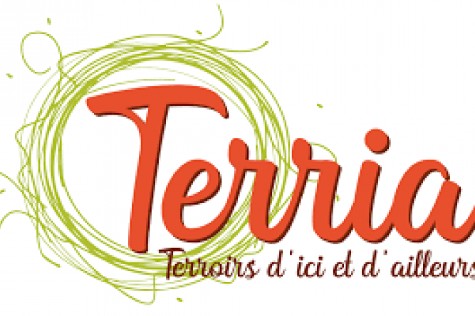 logo terria