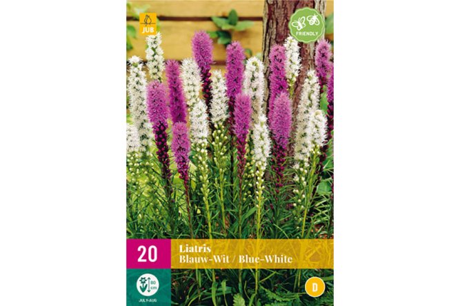 Liatris