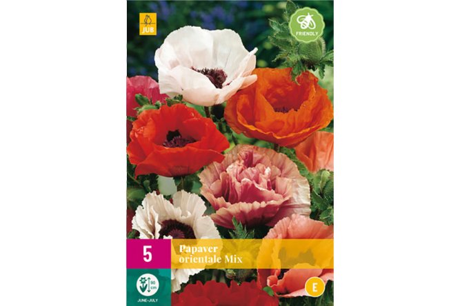 Pivoine Orientale Mix