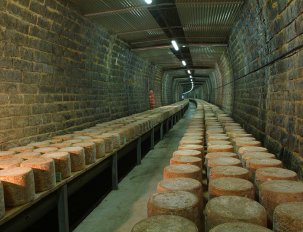 Fromagerie des monts du cantal 