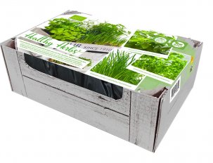 caisse d'herbes aromatiques (basilic, ciboulette, persil)