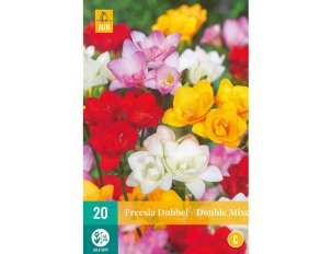 freesia double mix